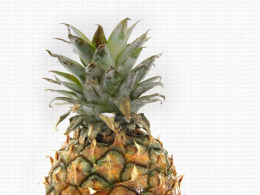 Ananas, symptôme de moisissure sur couronne (Penicillium)